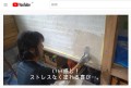 DIY用しっくいセルフルをYouTubeでご紹介いただきました！