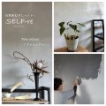 自然派ねりしっくいSELF-reに新色アッシュグレー登場！